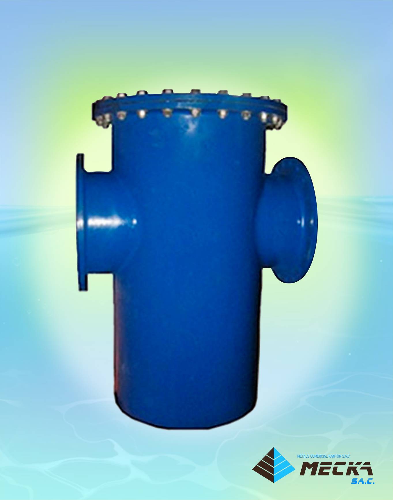 filtro bridado tipo canasta 