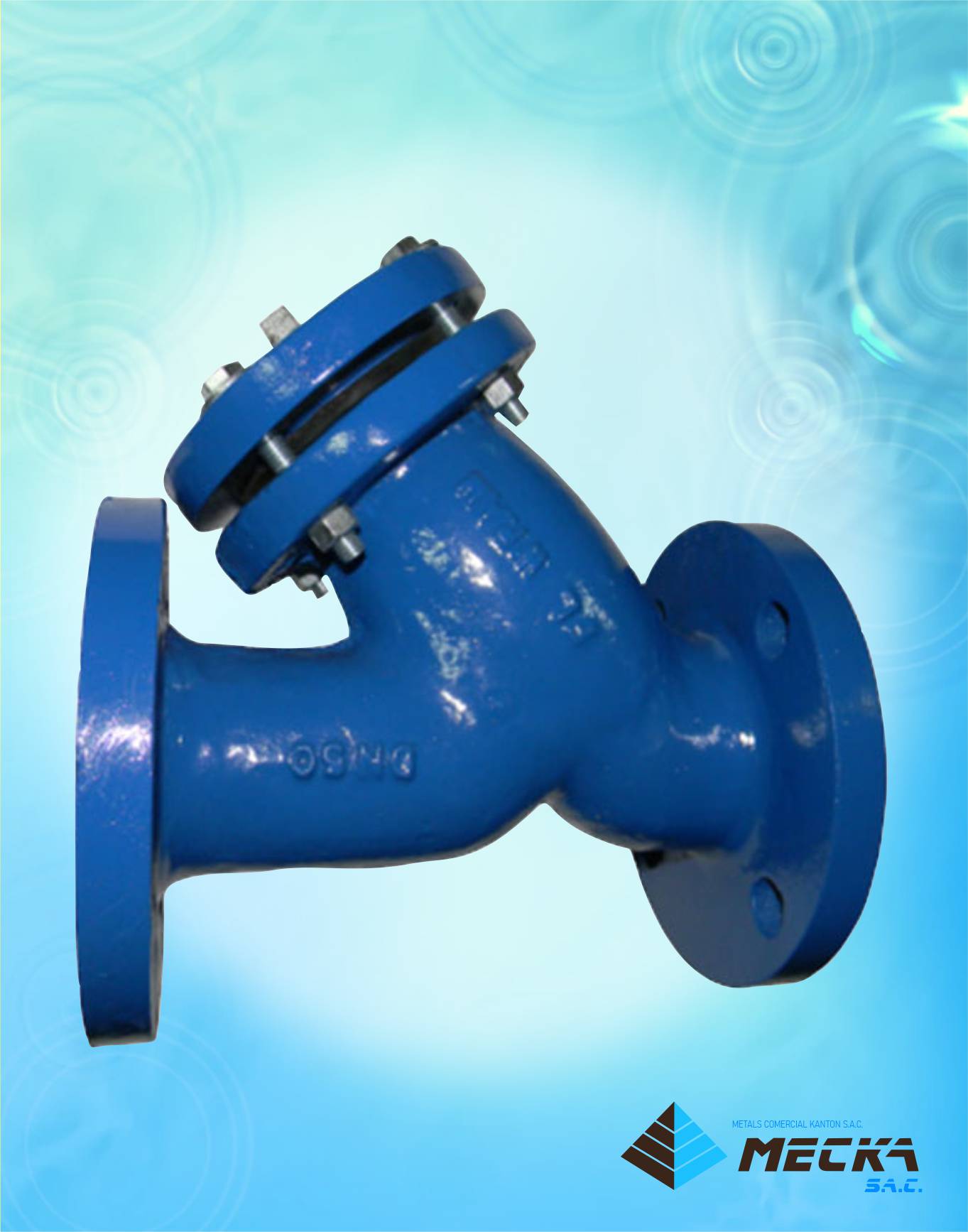 filtro tipo Y -meckasac