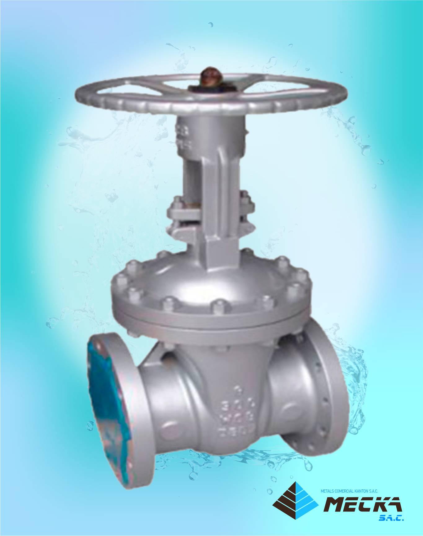 valvula compuerta bridada wcb norma api meckasac