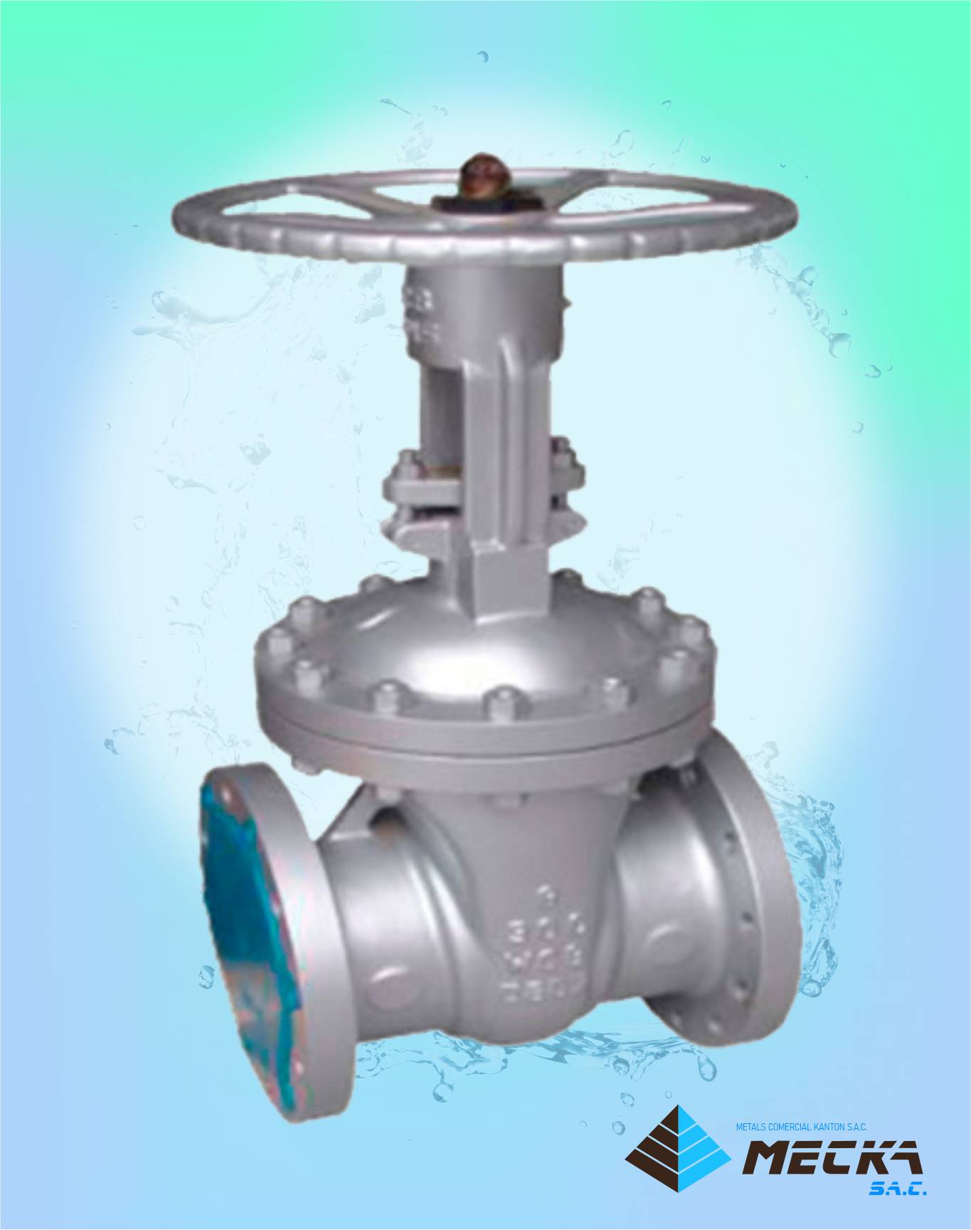 valvula compuerta bridada wcb norma api meckasac