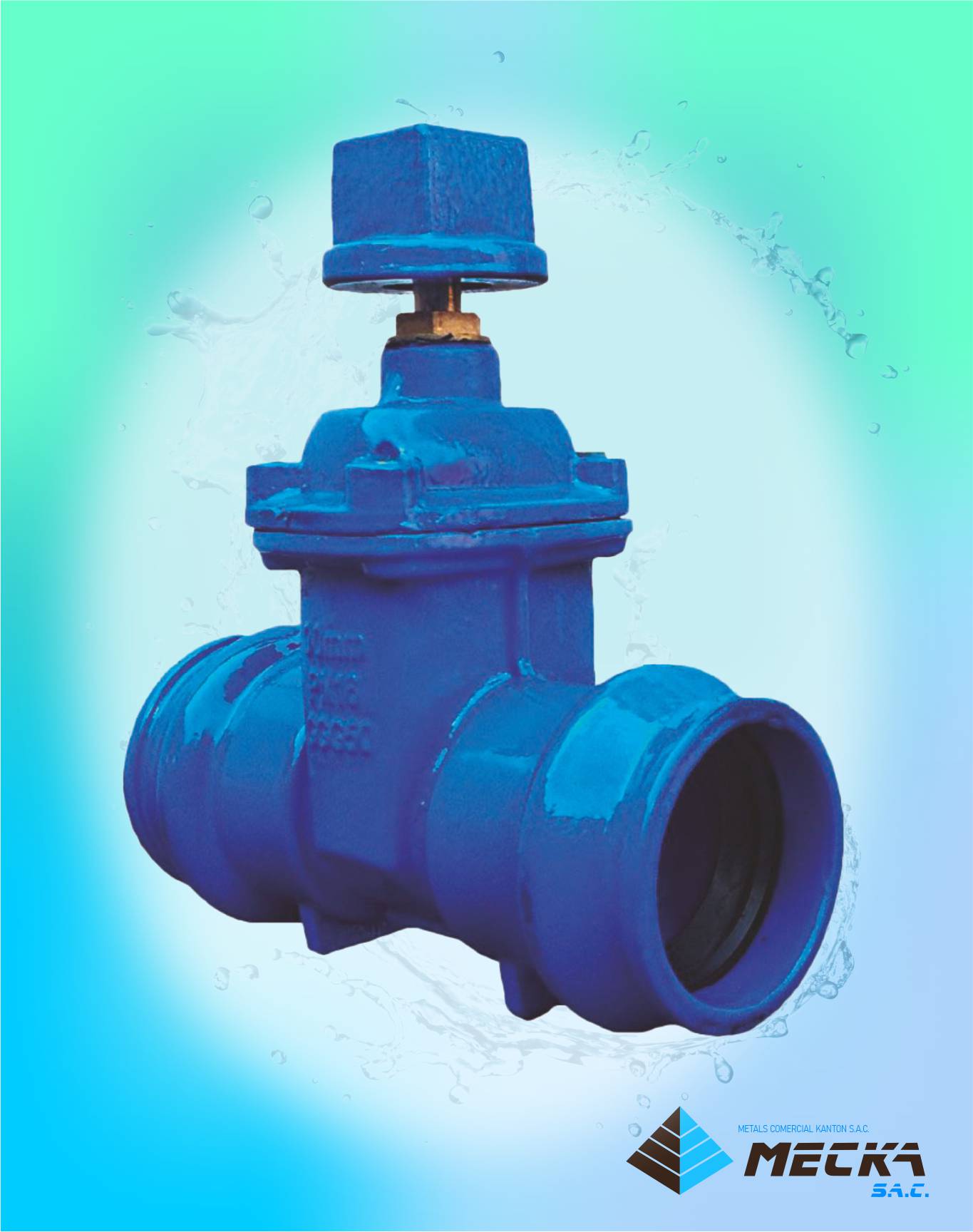 Válvula Compuerta campana