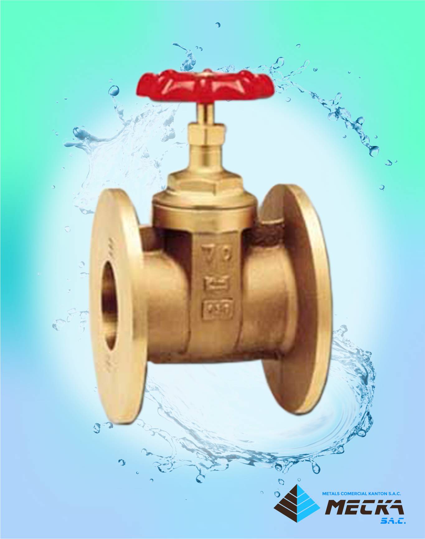 Válvula compuerta de bronce bridada Meckasac