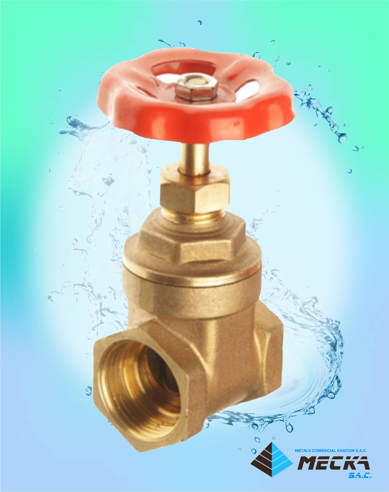Válvula compuerta de bronce roscada
									Meckasac